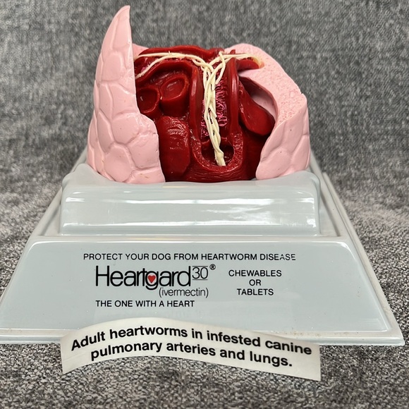 New Heartworm Model - Picture 4 of 8